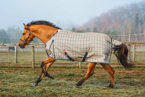 5/A Baker® Heavy Weight Turnout Blanket 400 Gram - The In Gate