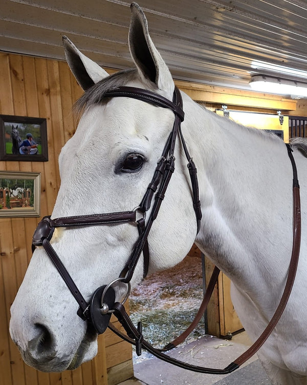 The In Gate NEW Figure 8 Bridle with Rubber Reins - The In Gate
