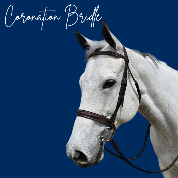 The In Gate Coronation Bridle with Laced Reins - The In Gate