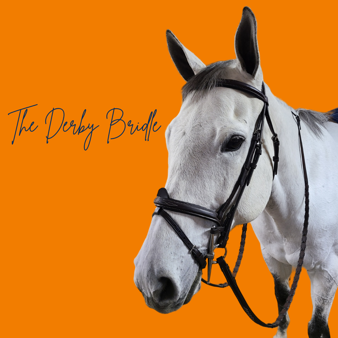 The In Gate Derby Bridle with Removable Flash and Laced Reins - The In Gate