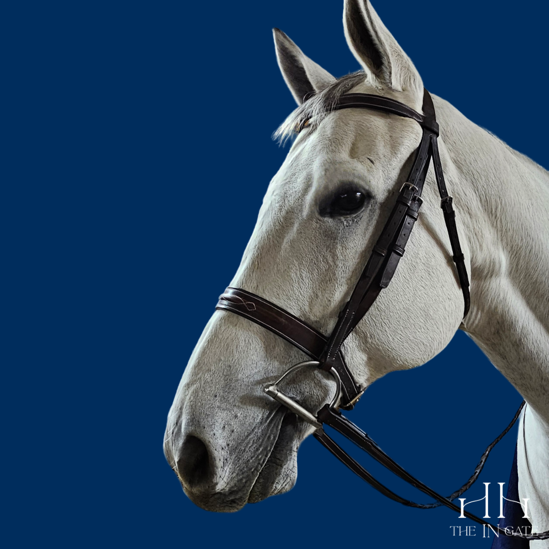 The In Gate Balmoral Bridle™ with Laced Reins - The In Gate