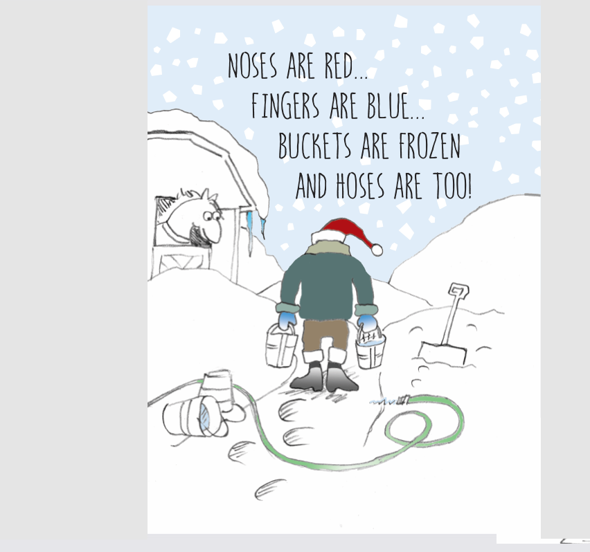 Horse Boxed Christmas Cards: Noses & Fingers - The In Gate