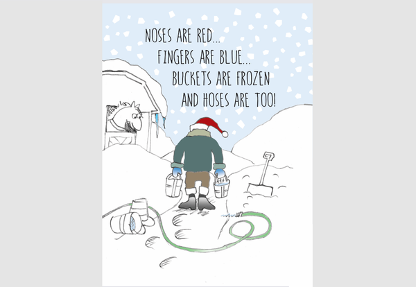 Horse Boxed Christmas Cards: Noses & Fingers