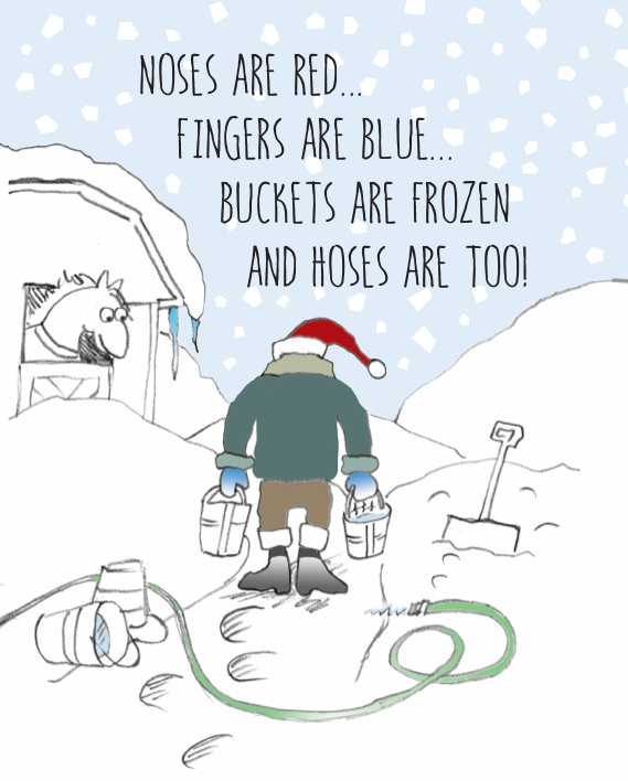 Horse Boxed Christmas Cards: Noses & Fingers