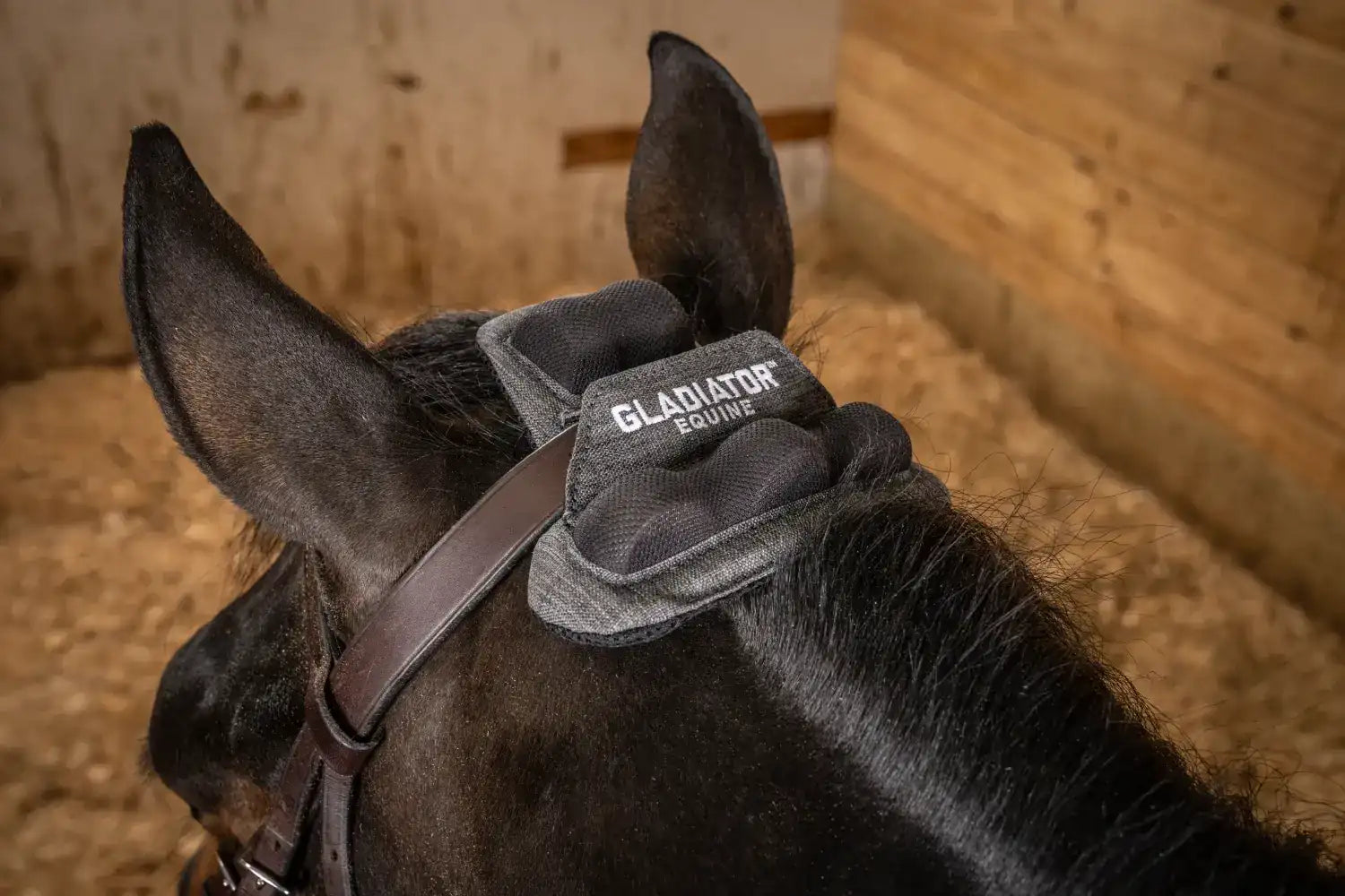 Reign Ease® PRO-C by Gladiator Equine