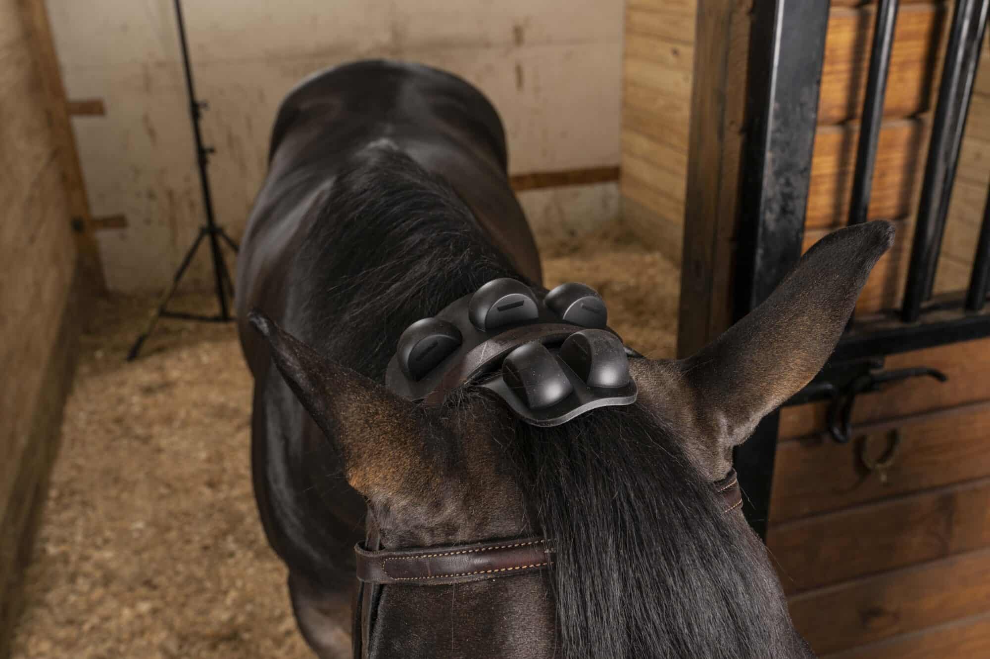 Reign Ease® PRO by Gladiator Equine