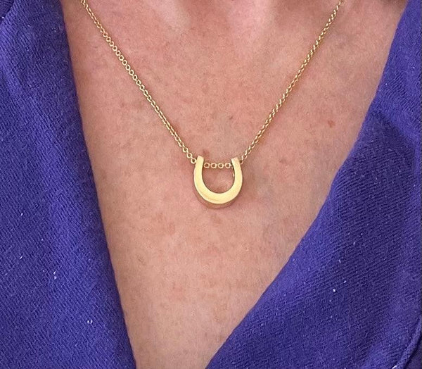 14K solid gold "Petite" Horseshoe Pendant on 16" 14K gold rolo chain - The In Gate