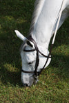 The In Gate Derby Bridle with Removable Flash and Laced Reins