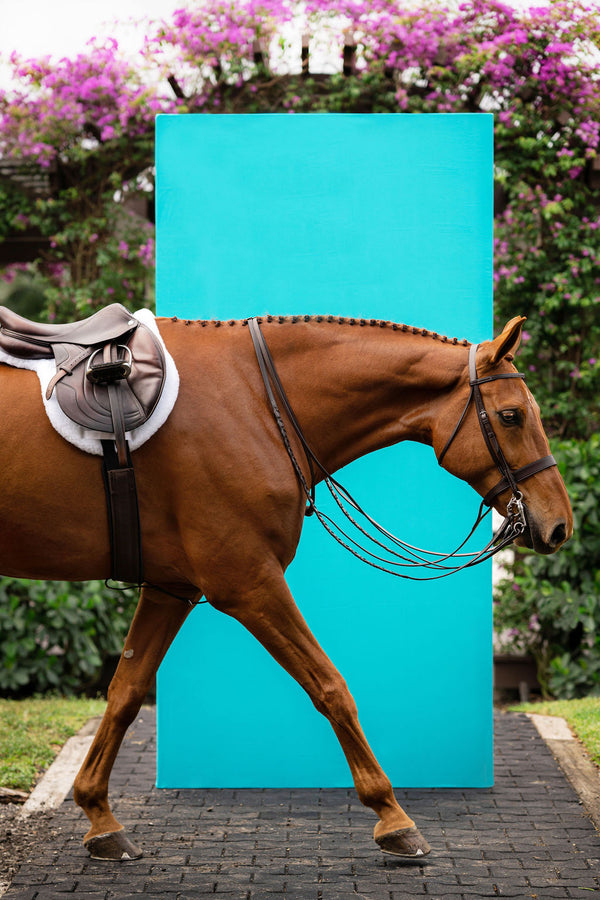 A brown horse wearing a bridle and saddle walks along a paved path in front of a large bright turquoise rectangular backdrop, with green foliage and pink flowers in the background.