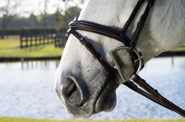 The In Gate Derby Bridle™ with Removable Flash and Laced Reins