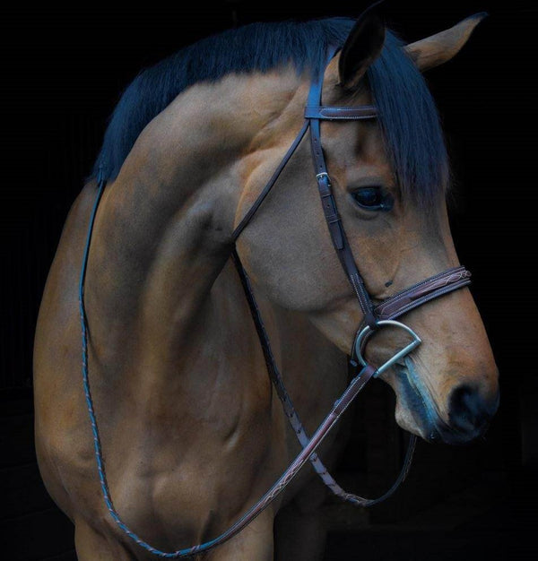 Bay horse wearing The In Gate Hunter Bridle with Laced Reins.