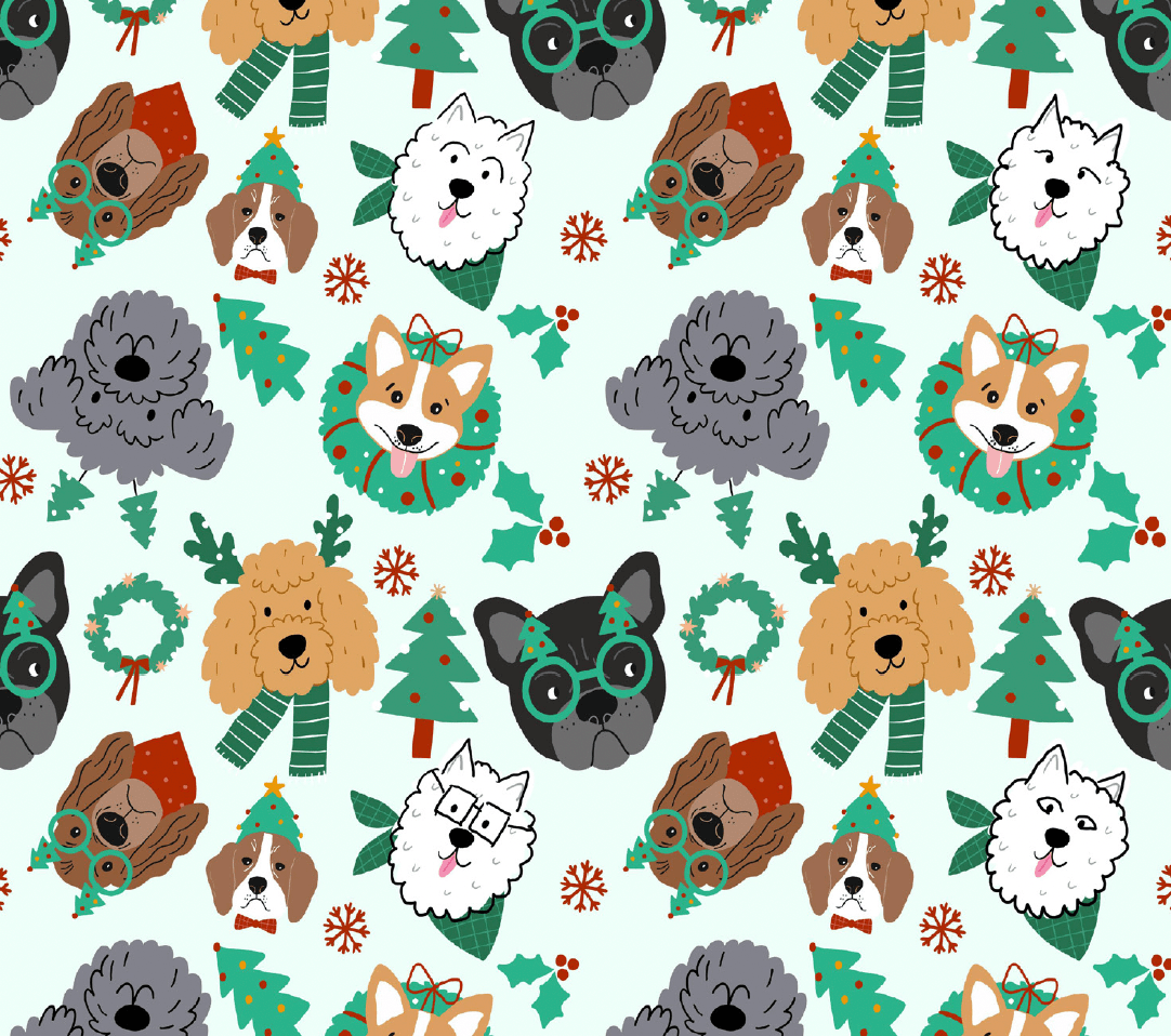 Deck the Paws Youth Pair & A Spare Socks