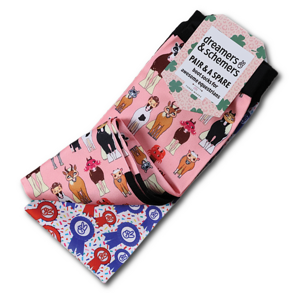 Disguise Pair & A Spare Socks