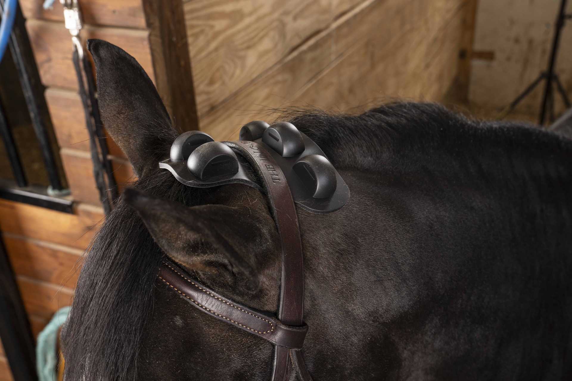 Reign Ease® PRO by Gladiator Equine
