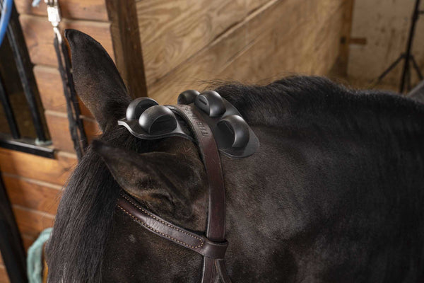 Reign Ease® PRO by Gladiator Equine
