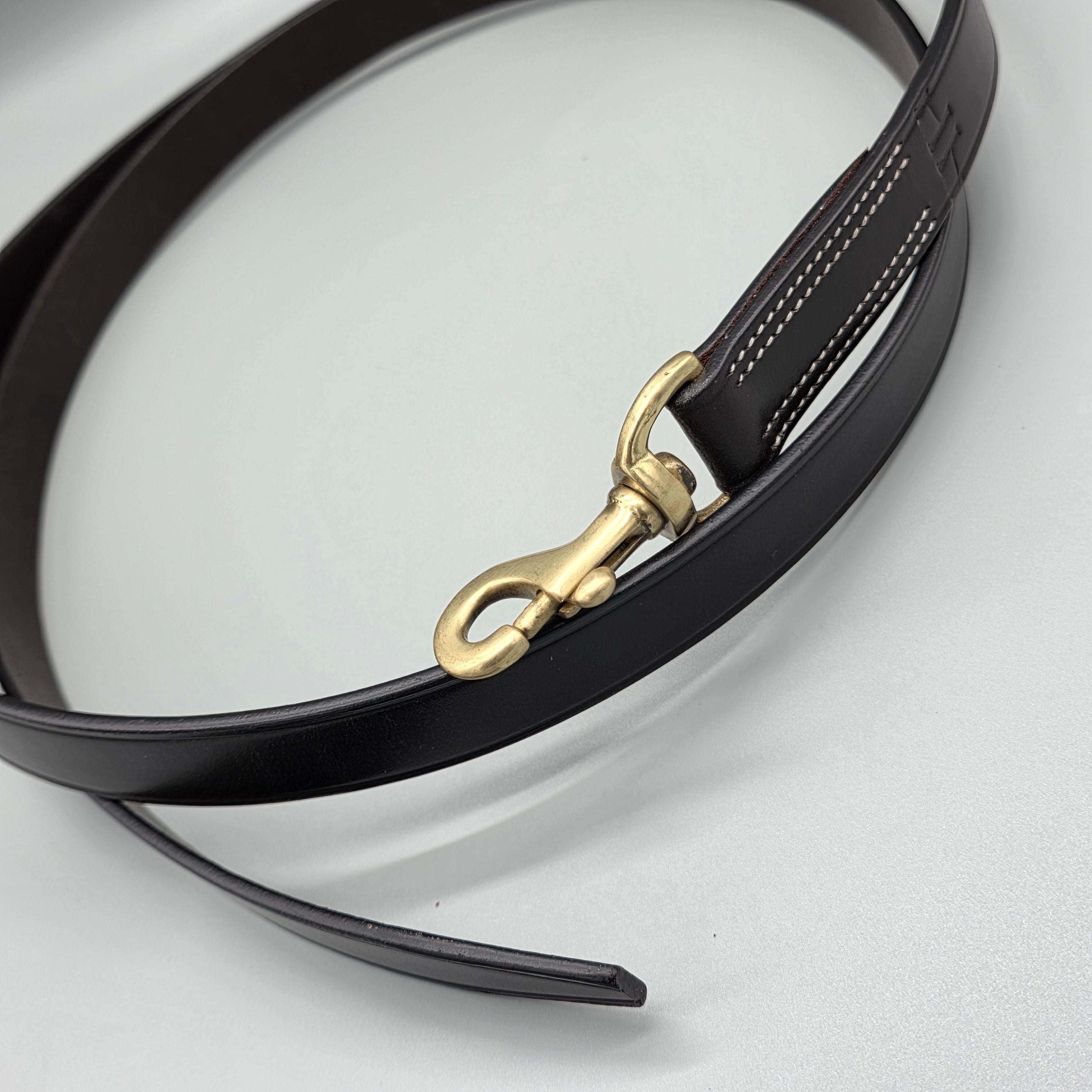 The In Gate New Standard Leather Lead