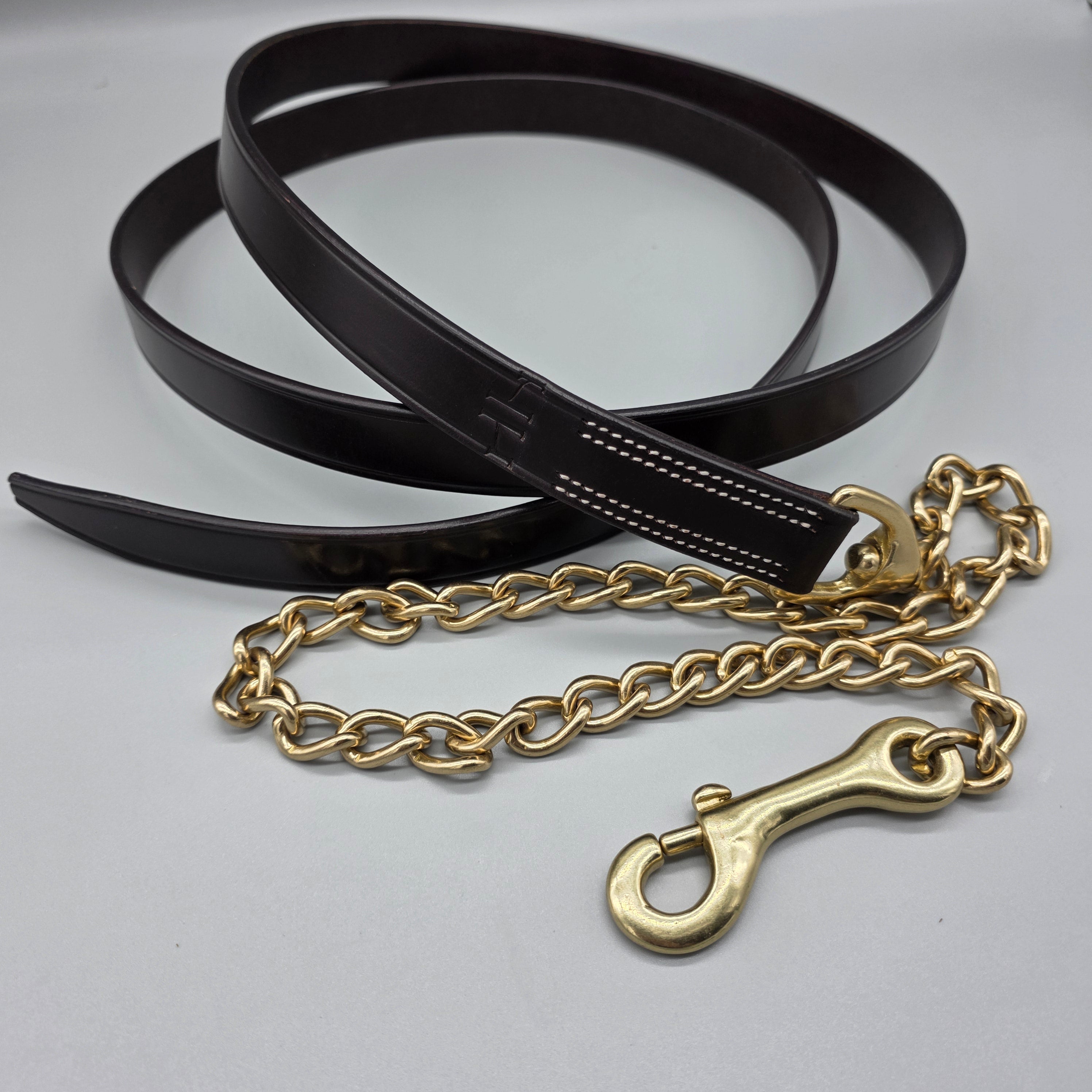 The In Gate New Standard Leather Lead with Chain