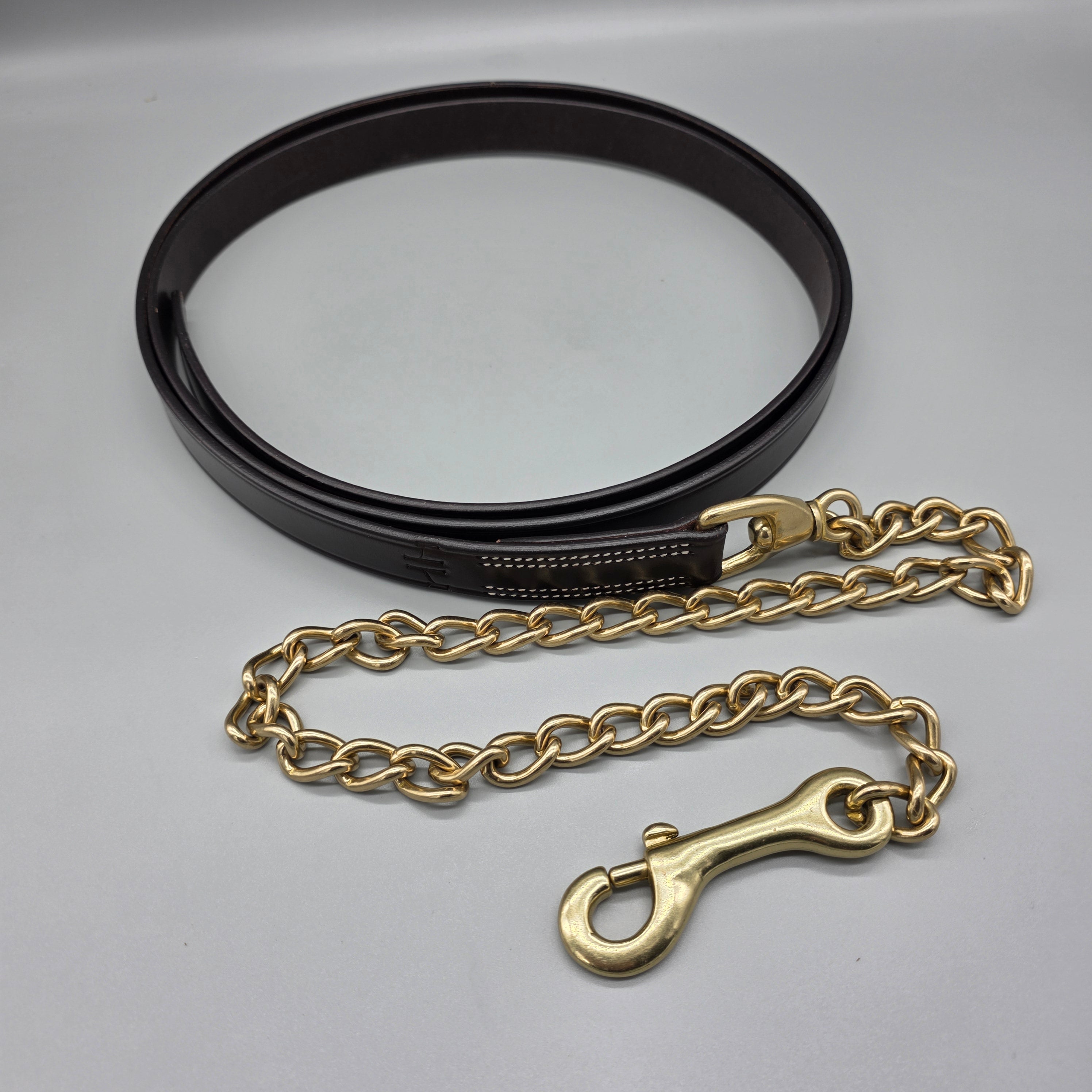 The In Gate New Standard Leather Lead with Chain
