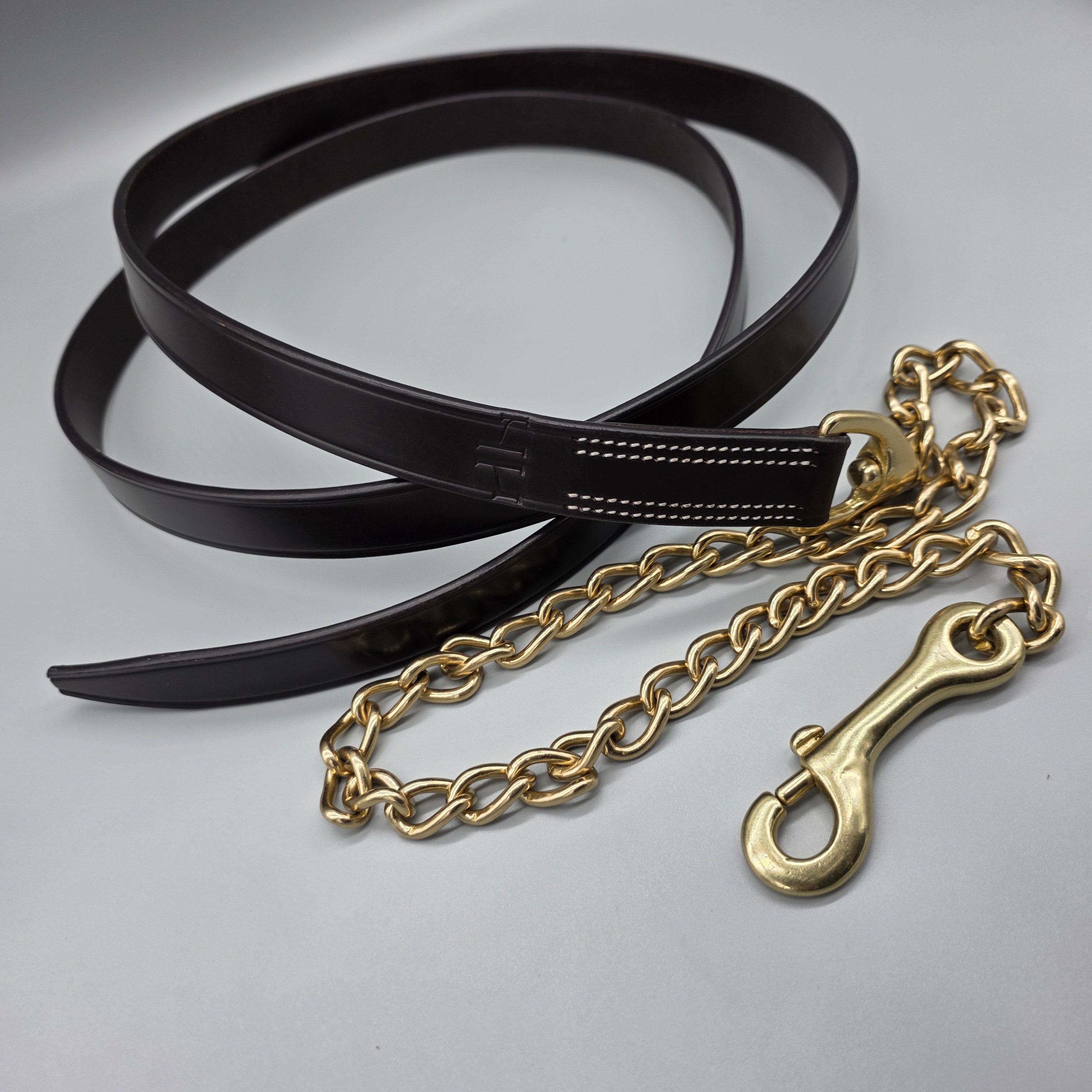 The In Gate New Standard Leather Lead with Chain