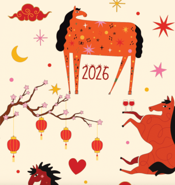 Year of the Horse Pair & A Spare Socks