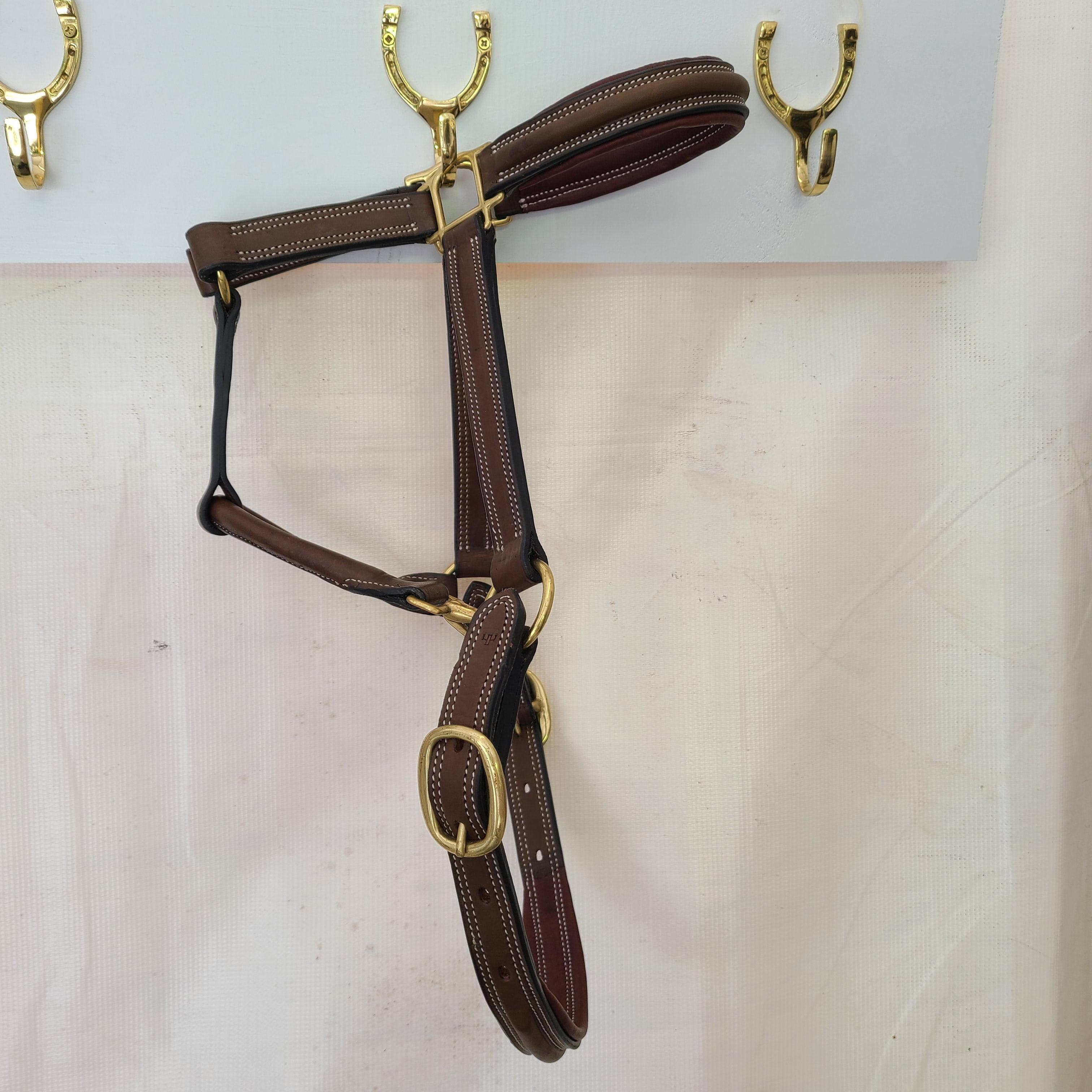 The In Gate New Standard Raised Leather Halter with Padding - The In Gate