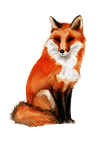 Pillow - Seated Fox, Warm White - The In Gate