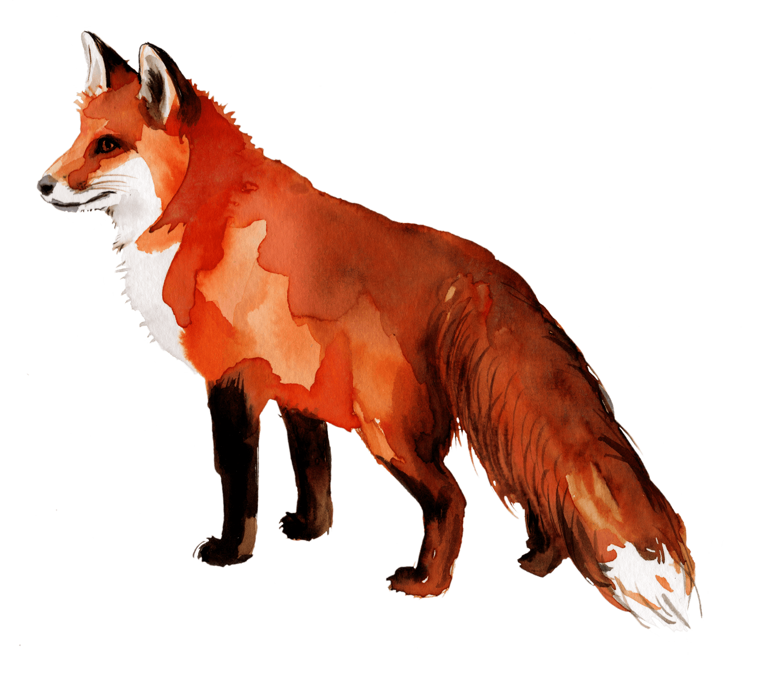 Pillow - Standing Fox - The In Gate
