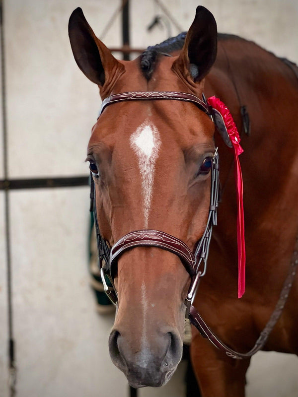 The In Gate Hunter Bridle with Laced Reins - The In Gate